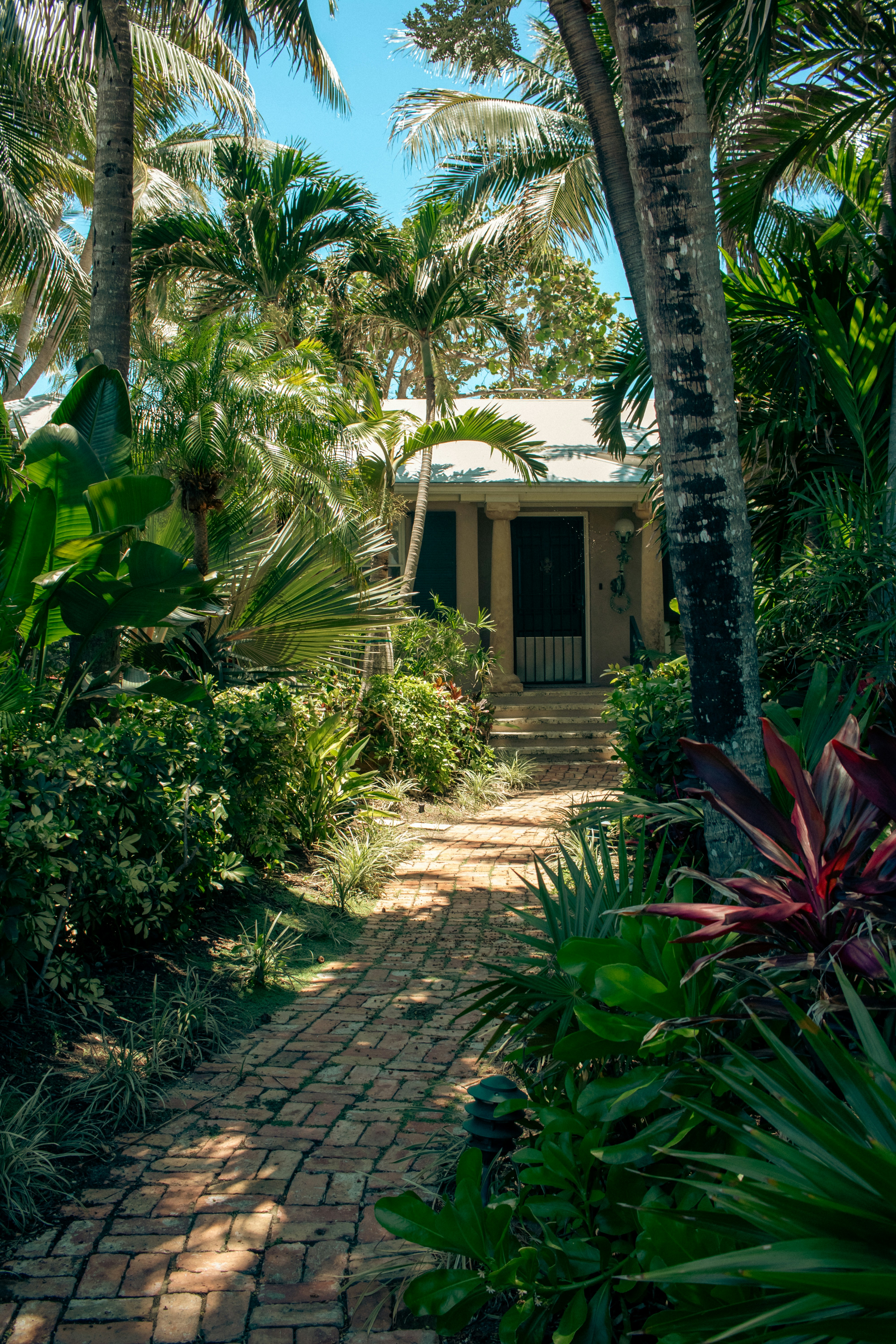 Front Yard Redesign